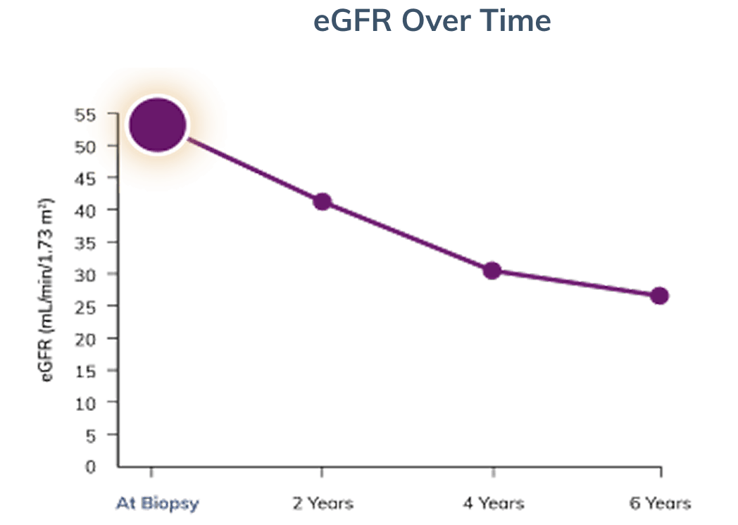 Graph modeling eGFR decline over time, starting at biopsy