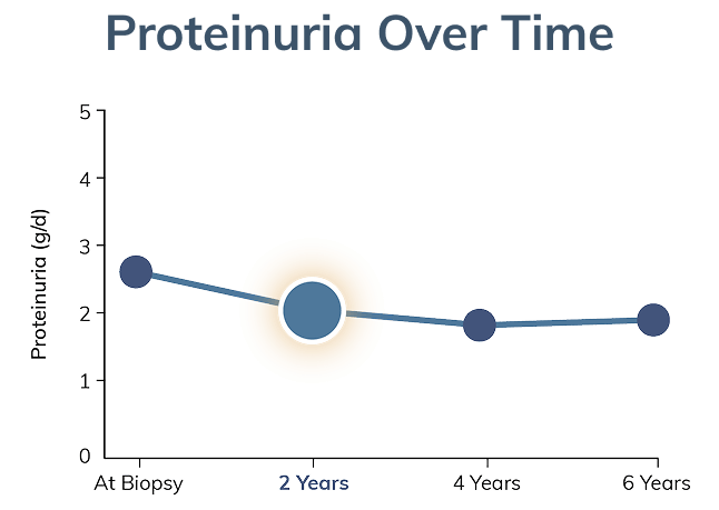 Graph showing proteinuria level after two years