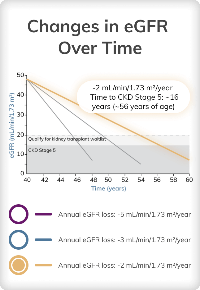Graph depicting changes in eGFR over time at a loss of 2 mL/min/1.73 m2 per year
